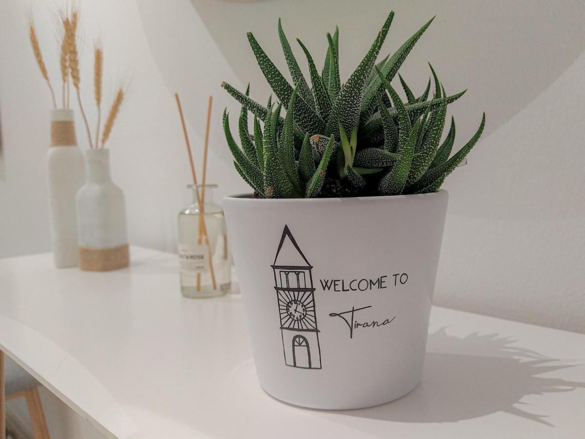 Boho Style In Center Of Tirana Apartment Luaran gambar